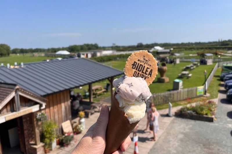 Bidlea Dairy draws visitors beside a neighbouring mini zoo