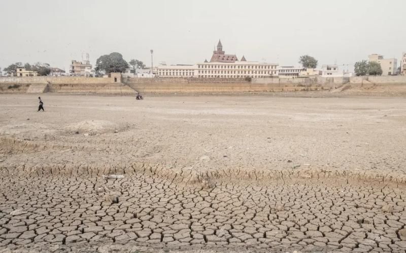 Severe Drought Impacts Aavin's Milk and Ghee Supply in Southern India