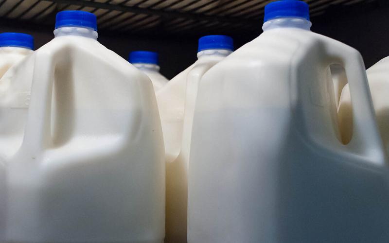 Raw Milk Prices in Galicia Increase for the Third Consecutive Month