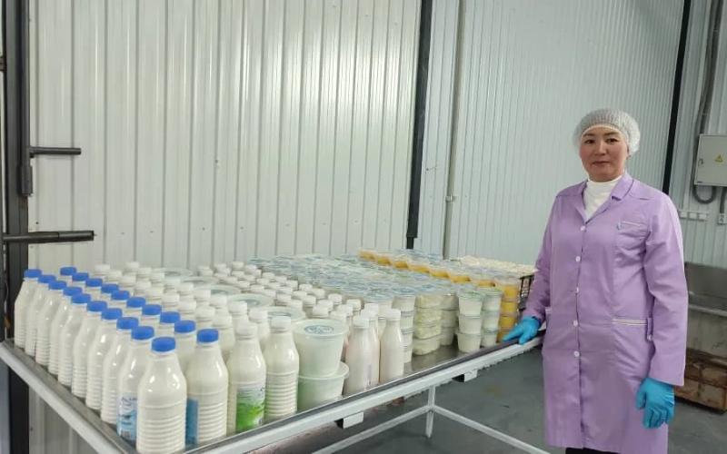 Центр переработки молочных продуктов в Аль-Тайзии стремится увеличить местное производство