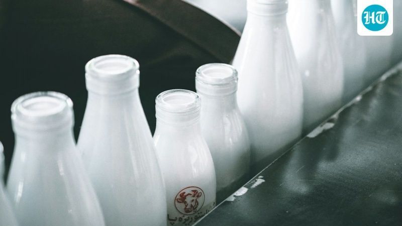 Plant-based milk sales fall as dairy sales rise