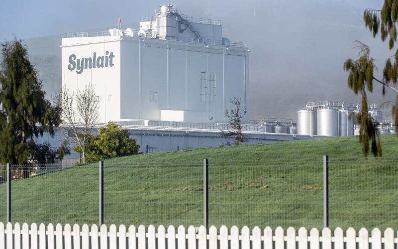 Leadership Change at Synlait Amid Dairy Restructuring Efforts