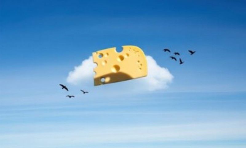 Paraná busca expandir el mercado del queso con 600 variedades para 2027
