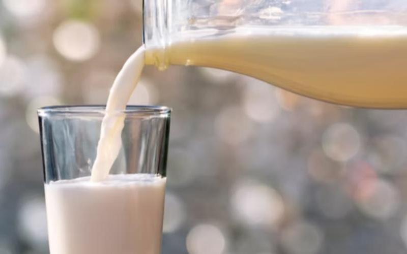 Alex Turnbull Appointed CEO for Yili's New Zealand Dairy Expansion