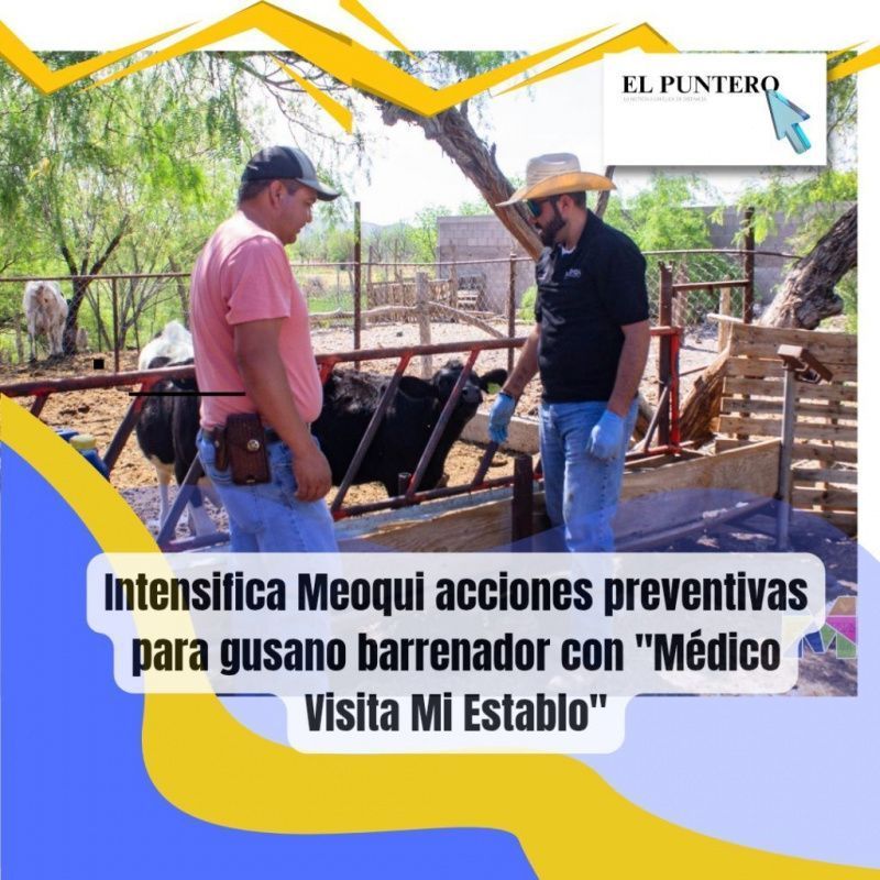 Meoqui Launches Veterinary Inspections to Combat Cattle Pest