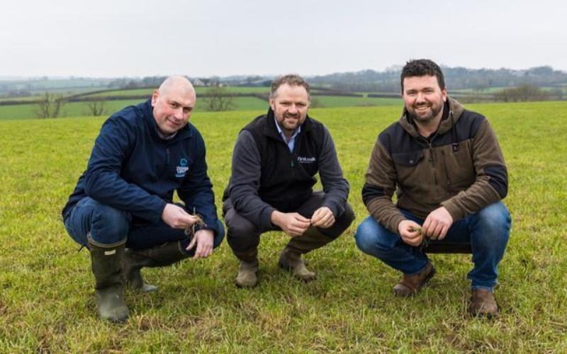 Pioneering Water Management Project Launched by First Milk and Nestlé in Wales