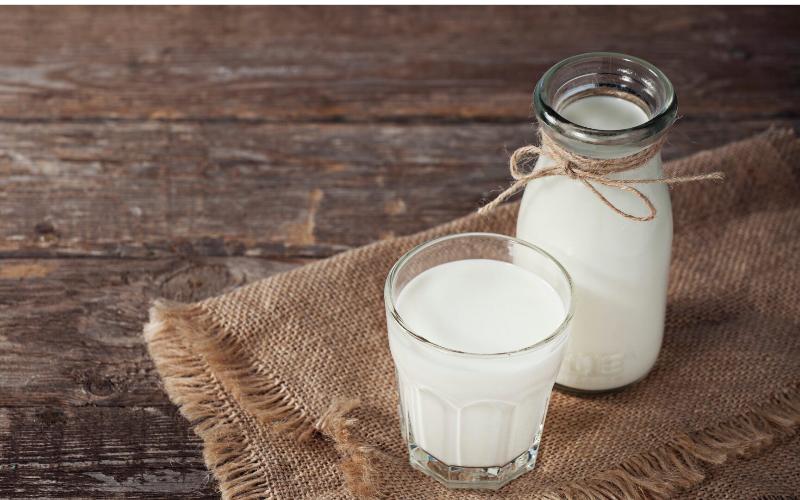 US Dairy Industry Faces Shift as Milk Fat Outpaces Protein Growth