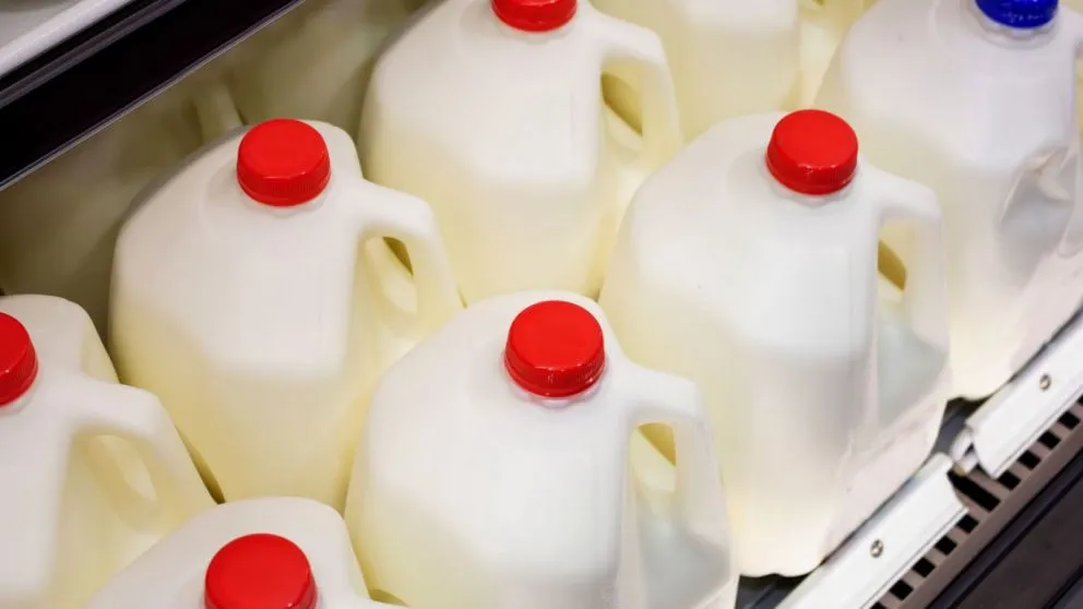 US Dairy Industry Faces Extended Milk Price Volatility Amid Structural Shifts