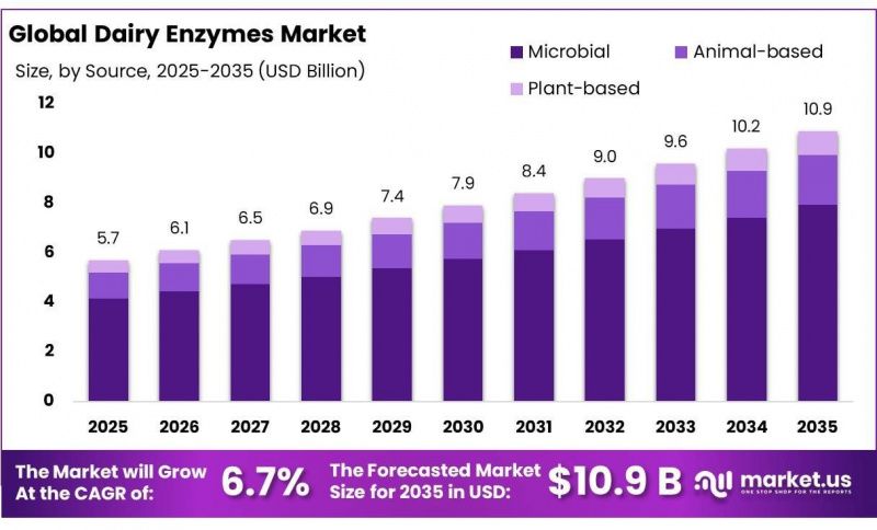 Global Dairy Enzymes Market Is Projected to Reach USD 10.9bn by 2035