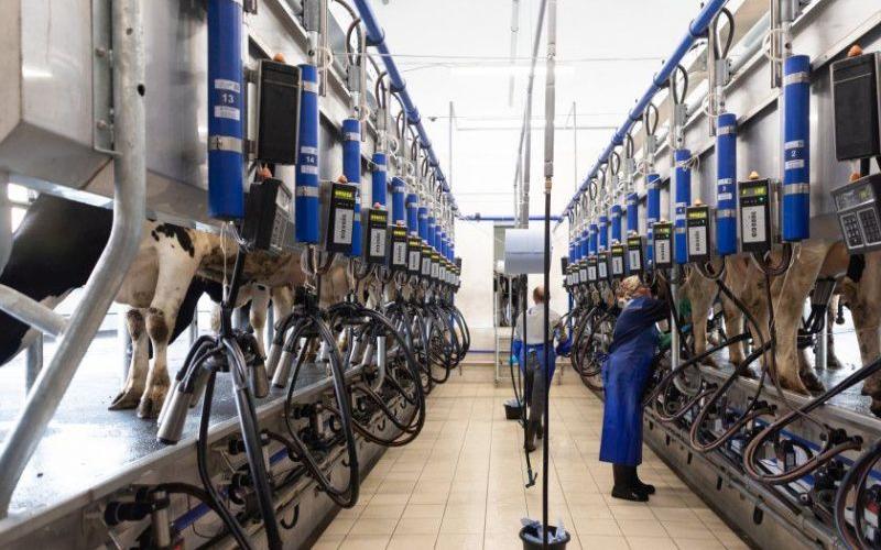 Shift in UK Dairy Market Dynamics: Power Moves Towards Farmers and Processors