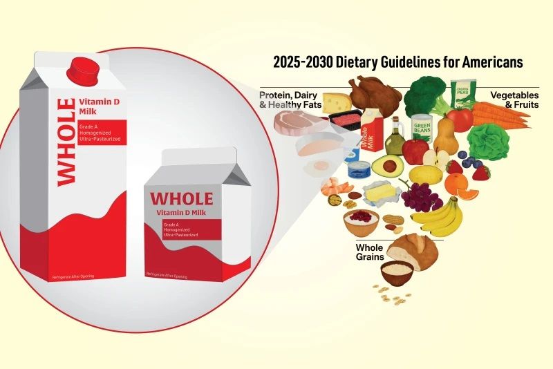 Renewed Interest in Whole Milk Offers Growth Opportunities for Dairy Industry