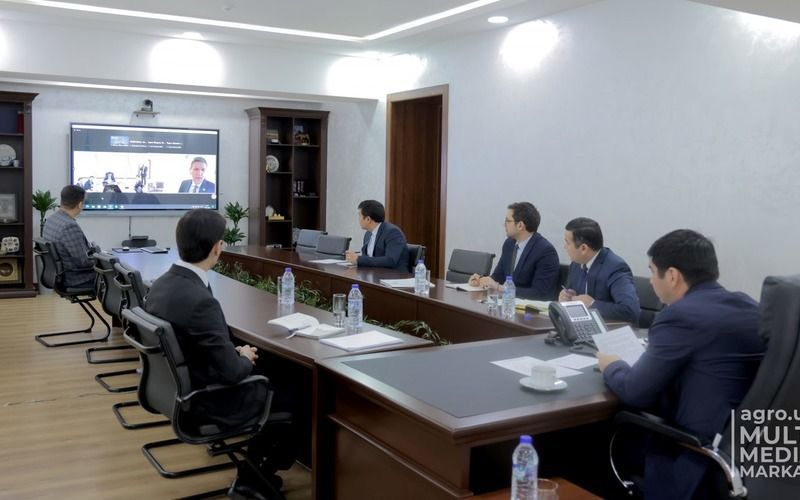 Минсельхоз и ФАО: обсуждены планы по сотрудничеству на 2023 год