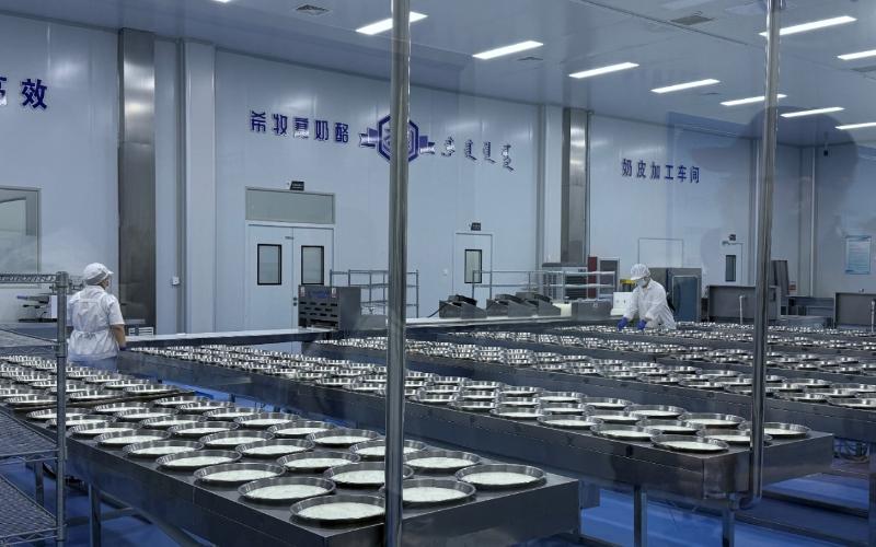 Inner Mongolia’s Cheese Park: A $14M Tourism Boost