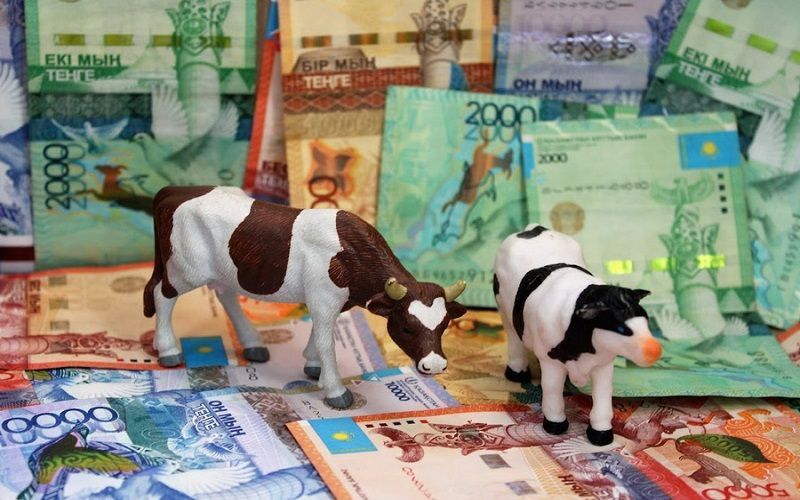 Минсельхоз Казахстана запускает субсидирование кредитов под 6% для проектов в животноводстве и хранении зерна