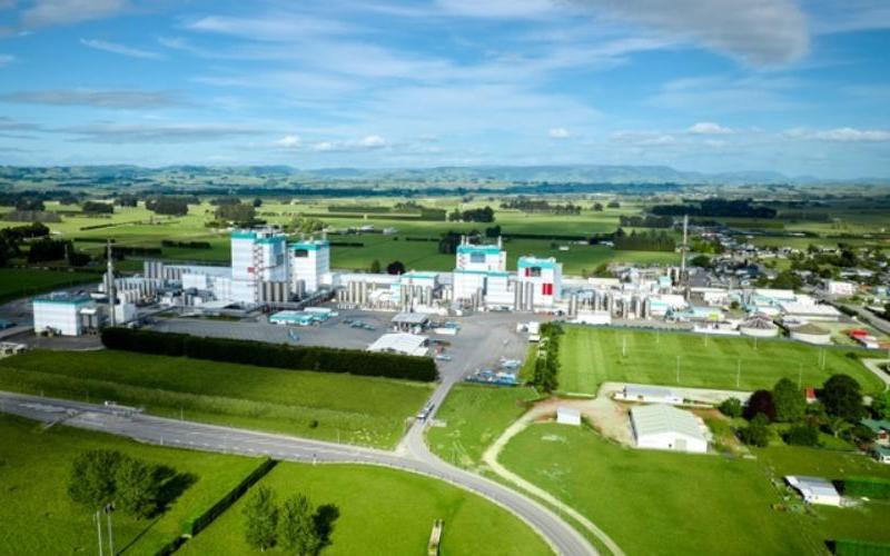 M&A Surge Coming for Fonterra, A2 Milk, and Alliance