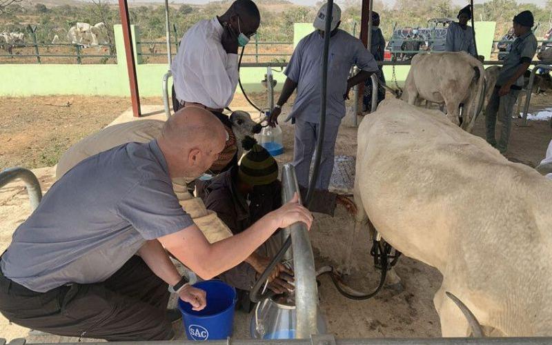 Nigeria's Dairy Sector: Challenges and Opportunities