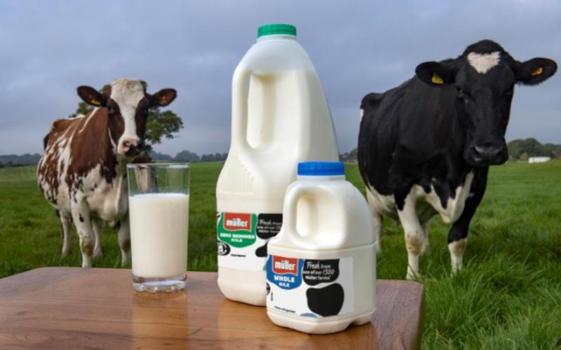 Müller Halts Milk Collections, Leaving UK Farmers in Crisis