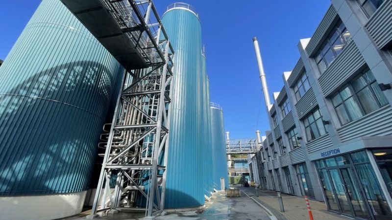 Carbery Group and Dairygold Announce April Milk Prices Amid Market Challenges