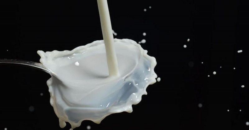 Global Dairy Regions Show Diverging Market Trends