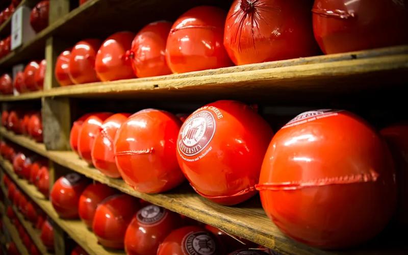 Mississippi State University's Impact on Campus-Based Cheese Production