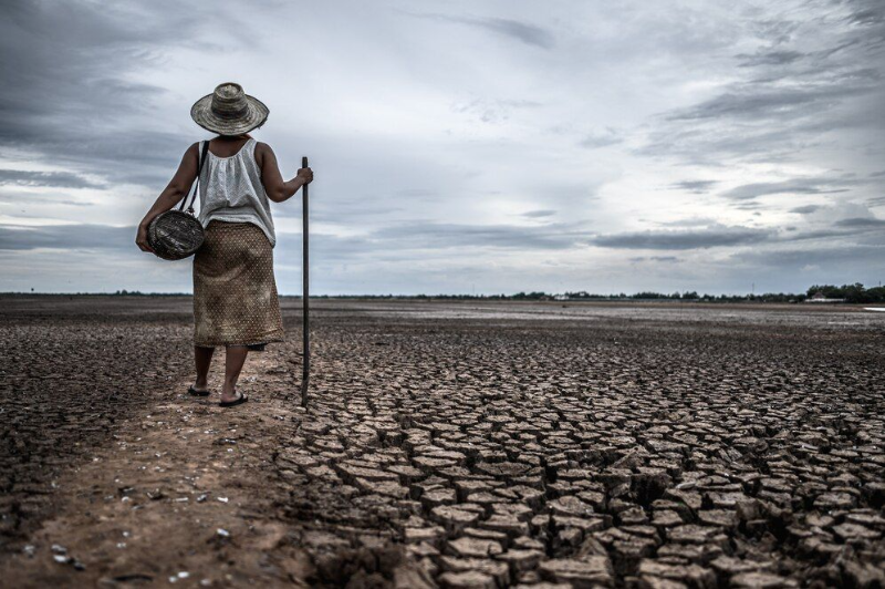 Analyzing the U.S. Weather in 2023: The El Niño Factor