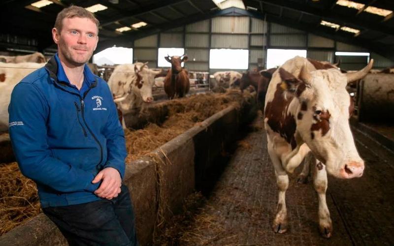 The Shift in Milk Contracts in East Ayrshire: Local Organic Farm vs German Dairy Giant