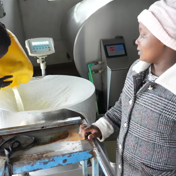 Dairy Farming in Kenya: A Business Perspective from Caroline Tanui