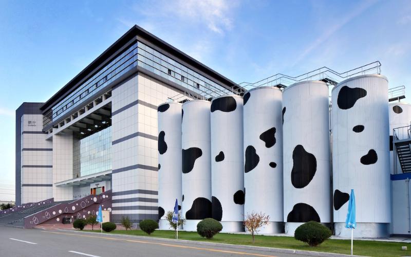China Mengniu Dairy'nin Pazar Baskıları Altındaki Gelir Düşüşü