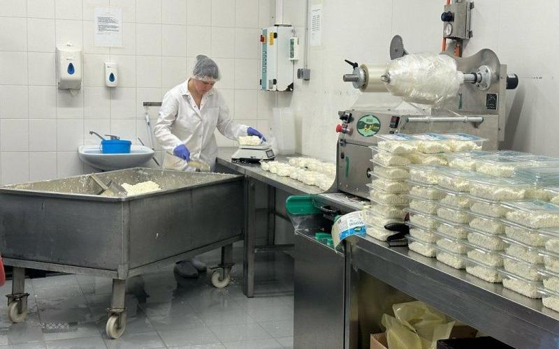 Dairy Production and Pricing Trends in H1 2025