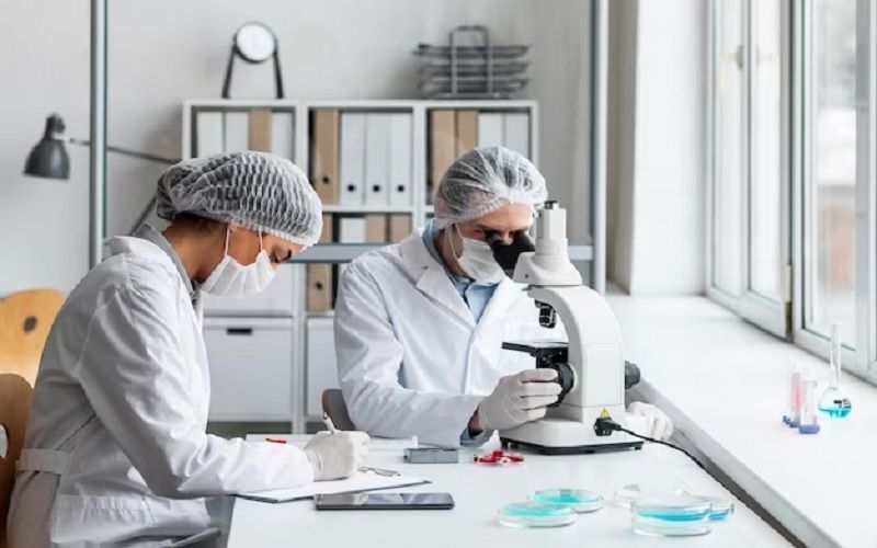 Chicago scientists: meat and dairy products improve the ability to fight malignant tumors