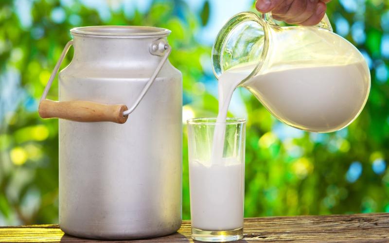 Fonterra Announces 2025/26 Farmgate Milk Price Amid Strong Earnings
