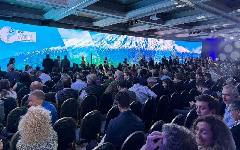 Yeni Zelanda, 2026 IDF Dünya Süt Zirvesi'ne Ev Sahipliği Yapacak