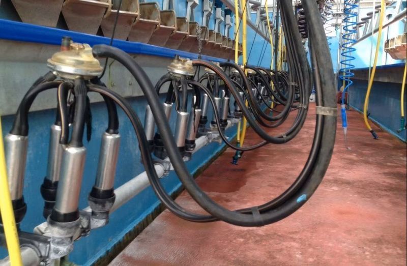 Irish Milk Price Index Edged Higher in August