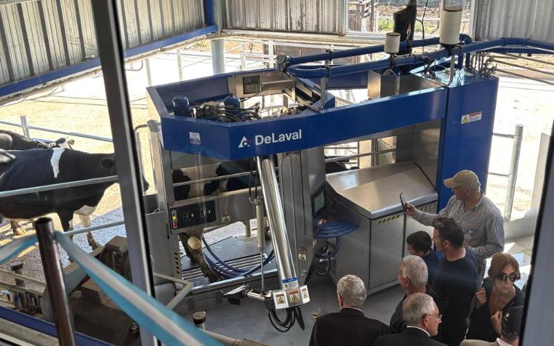 From Rural Classroom to Robotic Dairy: Venado Tuerto as a Hub of Innovation