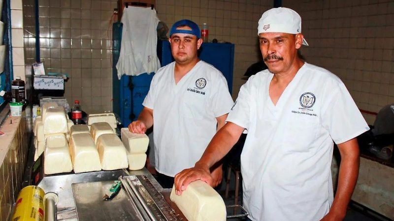 جامعة زاكاتيكاس تعزز صناعة الألبان بإنتاج الجبن الفاخر