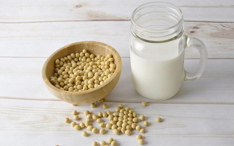 Growth of Animal-Based Dairy Milk Alternatives Driven by Health Trends