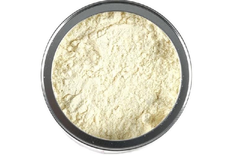 Brazil's Antidumping Investigation on Milk Powder Imports Continues