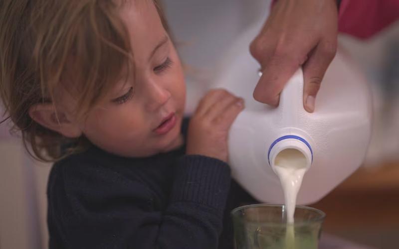 Study Confirms Pasteurisation Effectively Neutralises H5N1 in Milk