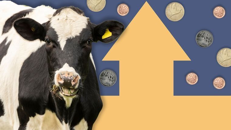 Rising Costs Challenge Dairy Industry Despite Favorable Market Prices