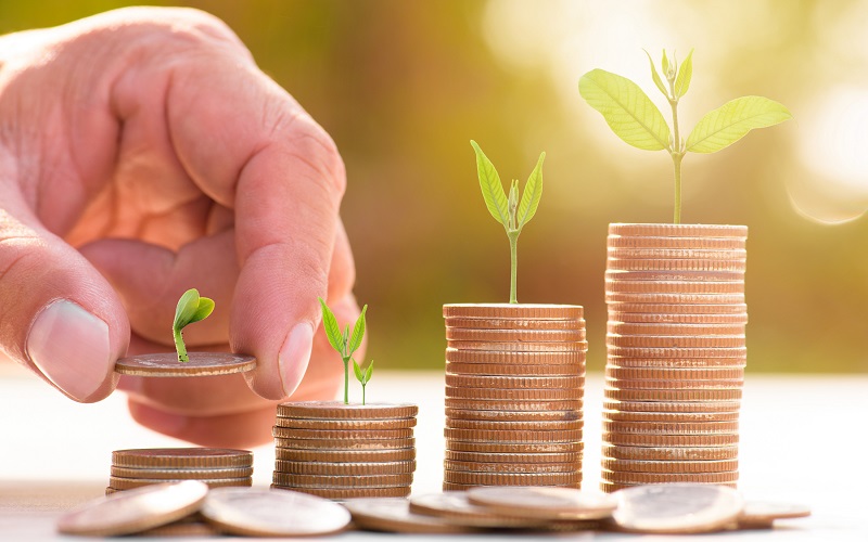 Инвестиции в сельское хозяйство Казахстана выросли на 33%