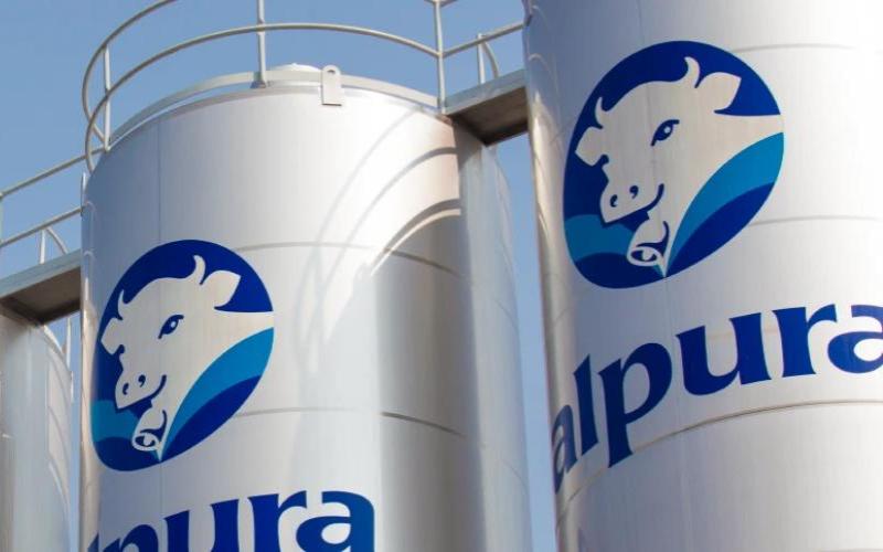 Alpura Dominates Mexican Cheese Market with Quality Oaxaca Offering