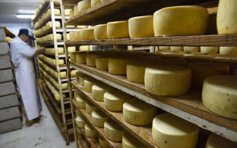 Рынок молочной продукции ЕС демонстрирует разнонаправленные тенденции: рост запасов сыра и снижение запасов масла Рынок молочной продукции ЕС демонстрирует разнонаправленные тенденции: рост запасов сыра и снижение запасов масла