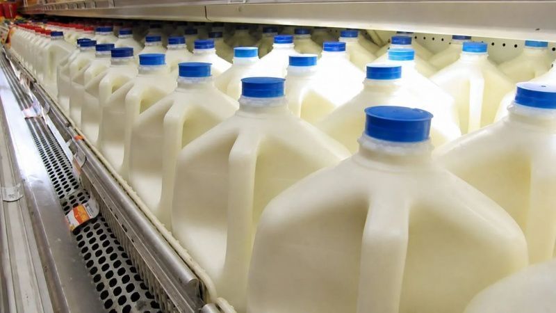 Dairy Companies Increase Milk Protein to Improve Processing Yields