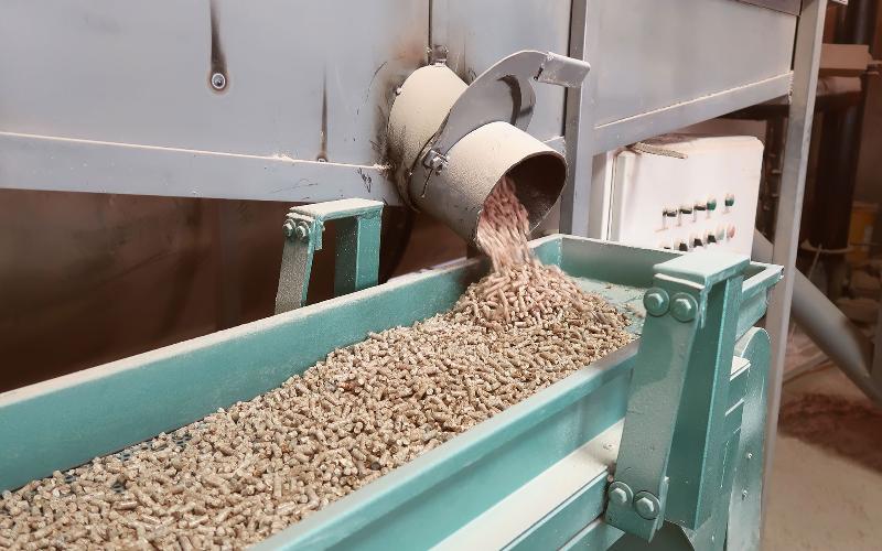 Chihuahua: The Forage Giant in Animal Feed Production