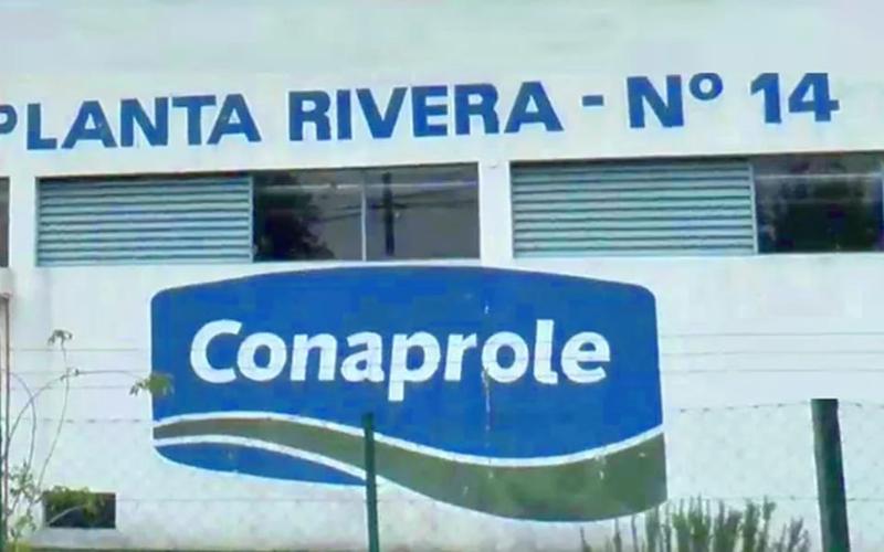 Conaprole Seeks New Solutions for Rivera Plant Amidst Union Conflict