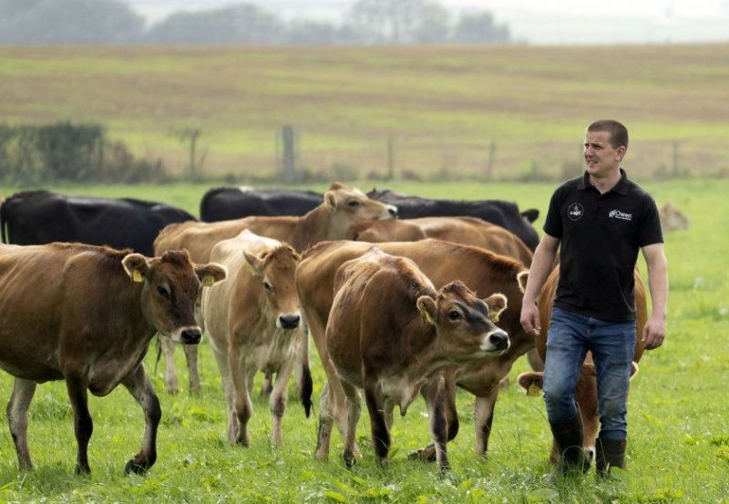 Scottish Dairy Farm Sought for Strategic Innovation Program