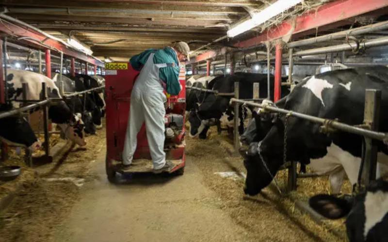 Canada Implements Farm Credit Relief to Support Dairy Industry