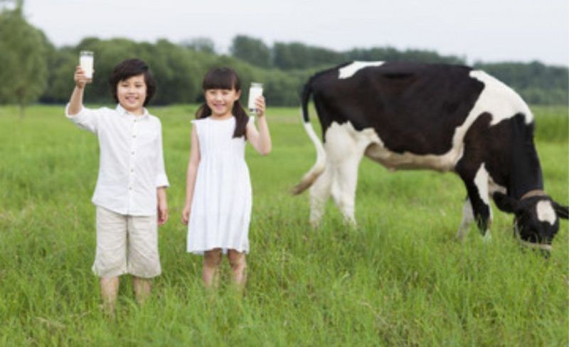 Hohhot Becomes Global Dairy Capital with $44.2 Billion Revenue