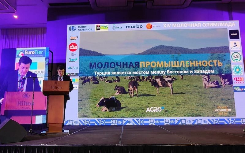 Сыр - главный эĸспортный продуĸт для Турции с долей 50% - Доган Башаран