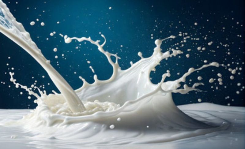 Brazil’s Dairy Chain Weighs Volume Against Quality
